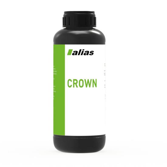 Alias Dental Crown Reçine - 0.5KG